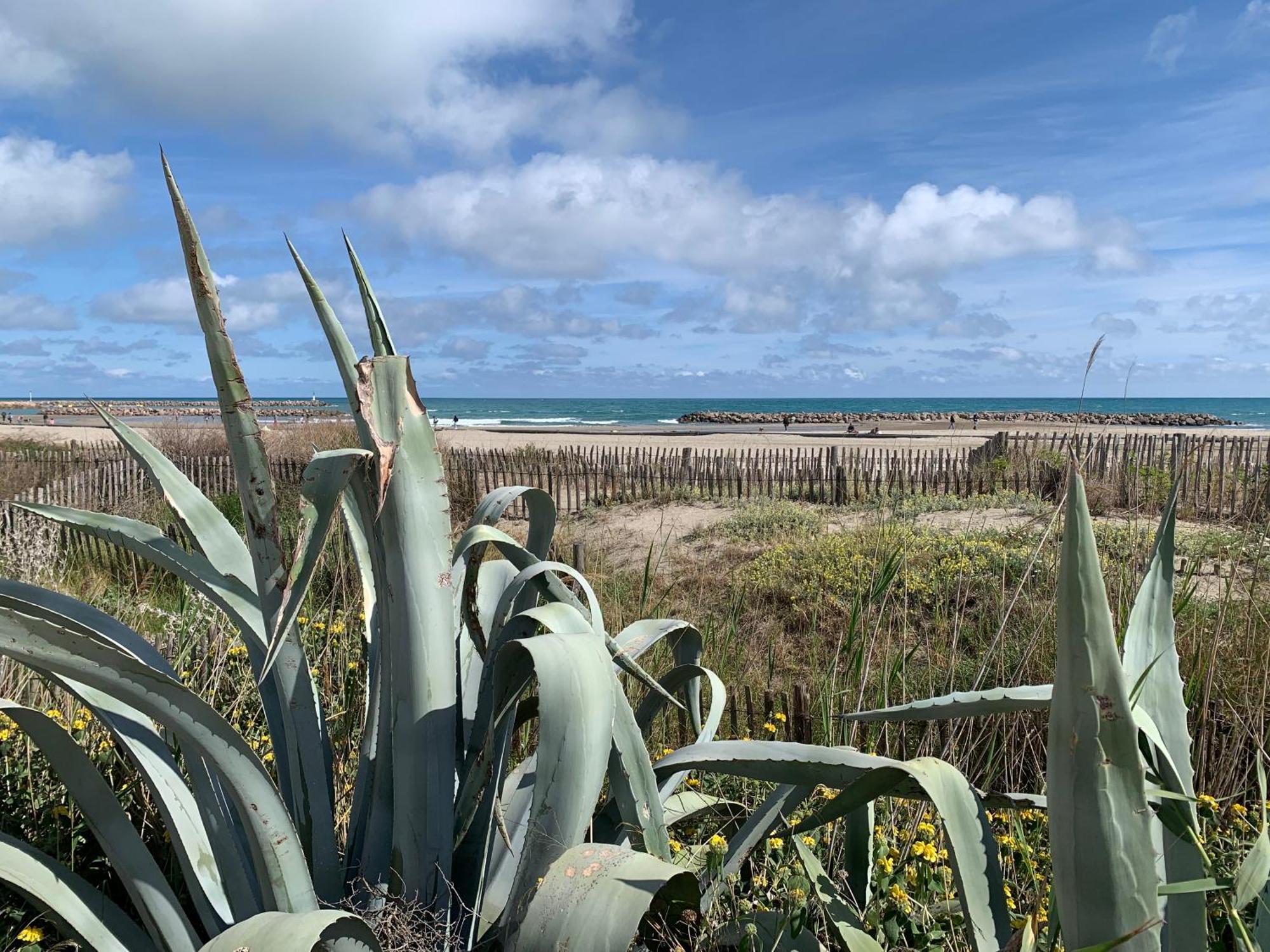 Sete - Vue Mer Imprenable, Piscine, Calme Exteriör bild